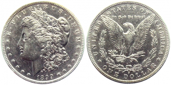 USA - 1899 S - Morgan Dollar - San Francisco - 1 Dollar - ss-vz