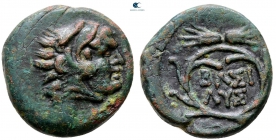 Griechenland - Thrakien - Macedonien - 305-281 BC - Lysimachos (305-281 v.Chr./BC) - Bronze - ss-vz